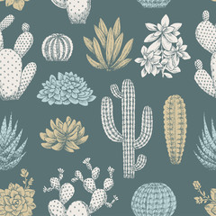 Wall Mural - Cactus vintage seamless pattern. Sketchy style illustration. Succulent collection. Vector illustration