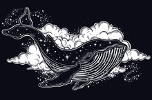Beautiful Hand-drawn Artwork Of Whale With Night Sky In Its Back. Tattoo Art, Graphic, T-shirt Design, Postcard, Poster Design, Coloring Books,spirituality, Occultism. Vector Illustration.