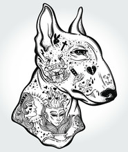 Bull Terrier's Portrait Made In An Old-stylized Tattoo. Vector Illustration For Coloring Book, T-shirts, Tattoo Art, Boho Design, Posters, Textiles. Isolated Vector Illustration.
