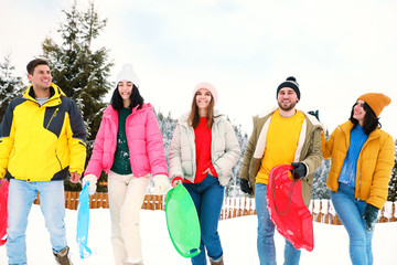 Poster - Group of friends outdoors on snowy day. Winter vacation