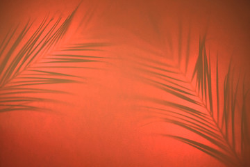 Abstract background of shadows palm leaves on pastel backdrop in backlight. Creative concept.