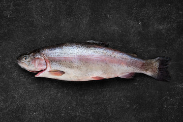 Wall Mural - Overhead view of whole fresh raw trout