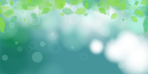 Wall Mural - nature view of green leaf on blurred greenery background in garden using background