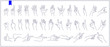 Set of contours of human hands, signs and gestures isolated vector illustrations on a white background