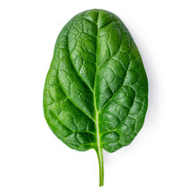 Spinach  Isolated On White Background. Fresh Green Baby Spinach Leaf. Top View. Flat Lay.