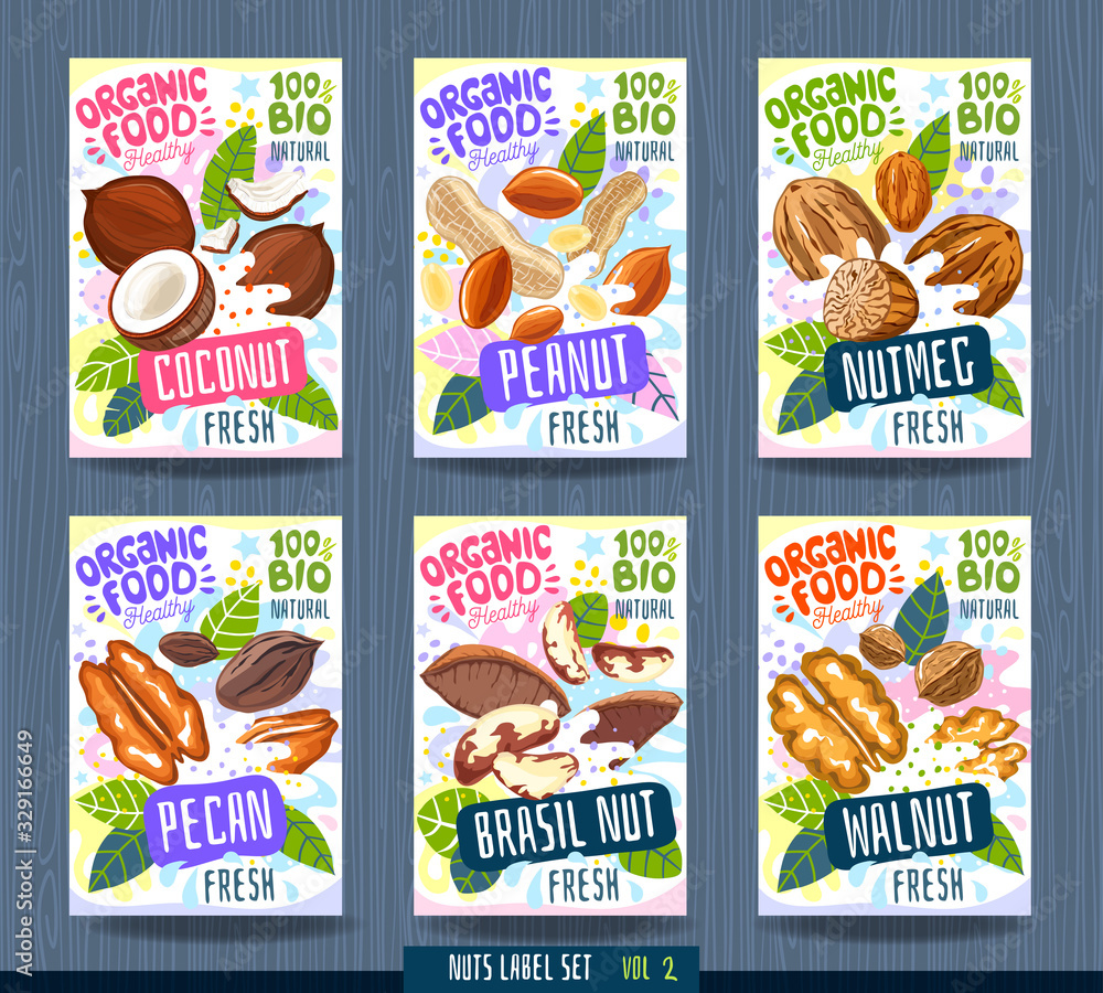 Groundnuts Label Design Abstract splash Food label template. Nuts, herbs, fruits, spices ...