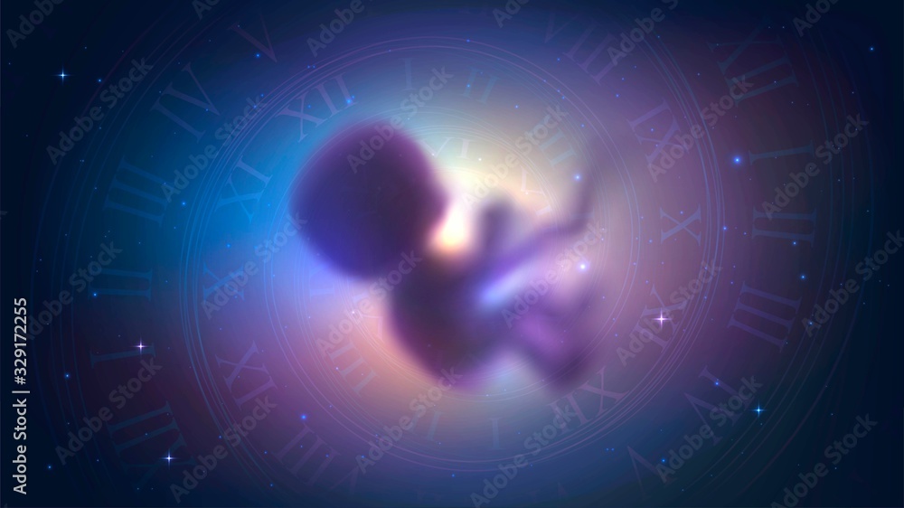 The human embryo in space and the spiral of time, the concept of reincarnation, evolution and astrology - obrazy, fototapety, plakaty 