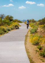 Mountain Biker On Paved Path In Scottsdale Arizona