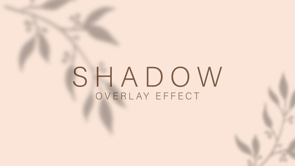 shadow overlay effect. transparent soft light and shadows from branches, plant, foliage and leaves. 