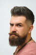 Barbershop concept. Portrait of attractive severe brutal bearded man has a perfect hairstyle, modern stylish haircut.