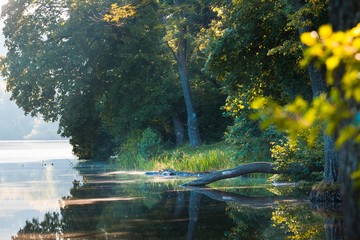 natural lake in forest surrounded by trees, beautiful sunrise on summer morning with no people, yellow sun rays on bright leaves, still water surface, green hiking tourism pastoral landscape