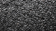 Natural Background, Texture Of Sunflower Seeds. Close-up