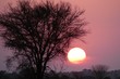 Sunset over the Serengeti, Tanzania