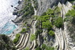 Winding roads of Capri, Italy
