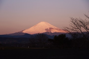 Canvas Print - Mt. Fuji in winter with sunrise dyed red.