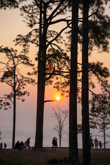 Wall Mural - 27 January 2020-Loei::sunrise at Nok Aen Clift view point at Phu Kradueng