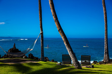 Wall Mural - Sea Ocean Sky View Palm Trees Boating