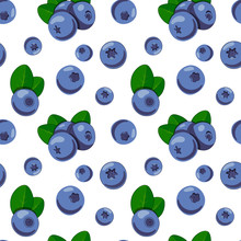 Vector Pattern With Wild  Blueberry
