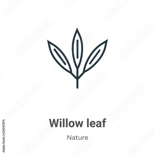 Cuadros en Lienzo Willow leaf outline vector icon