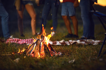 Wall Mural - Bonfire at night on a friends picnic in autumn