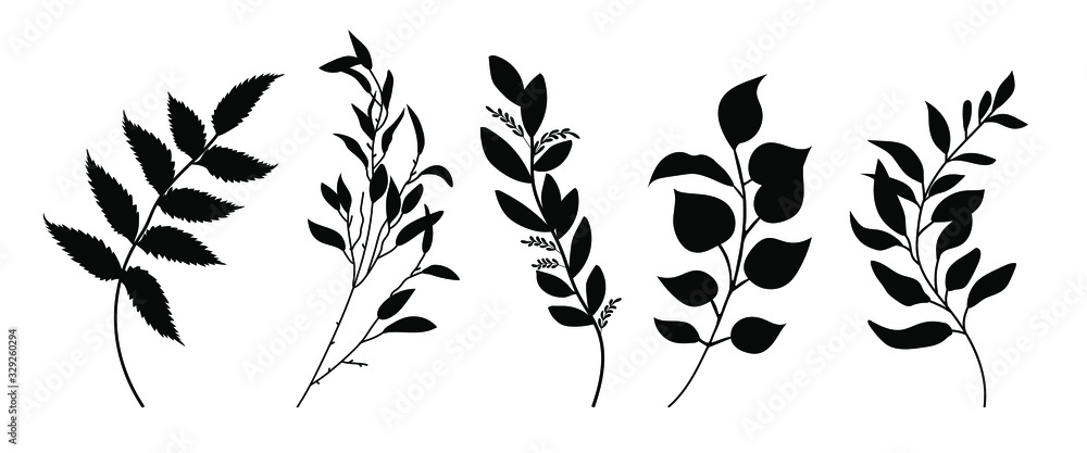 Set of leaves silhouette of beautiful plants, leaves, plant design. Vector illustration . - obrazy, fototapety, plakaty 