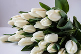 Fototapeta Kwiaty - Bouquet of white tulips