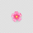 Pink flower icon emoji. Isolated on white. Vector