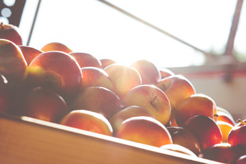 boxes of apples