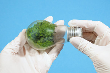 two types of moss are grown in a closed vessel light bulb, alternative energy concept, energy-saving and environmental concepts on Earth Day, medical research concept