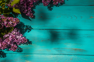 spring lilac on a wooden, turquoise background.