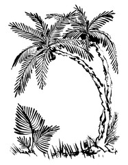 tropical palm trees. Hand drawn. ink sketch. Black and white illustration