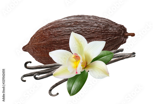 Fotografía Big cocoa pod and vanilla beans isolated on white background