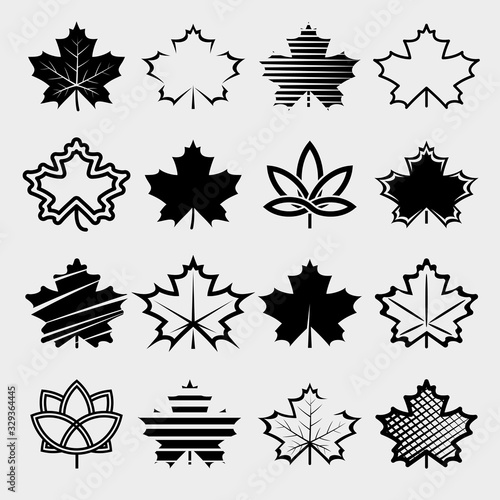 Cuadros en Lienzo Maple leaf set. Collection icon maple leaf. Vector