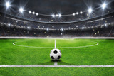 Fototapeta Sport - The soccer stadium with the ball on the line