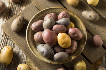 Canvas Print - Raw Organic Rainbow Baby Potatoes