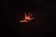 © Mango - human hand palm in the dark background, conceptual idea images