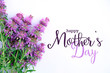 Mothers day background with purple flowers and text.