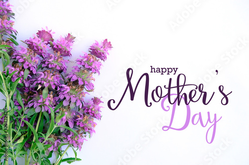 Fotografía Mothers day background with purple flowers and text.