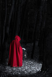 Fototapeta Konie - Attractive woman dressed a little red riding-hood walk in a dark forest with lantern