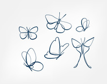 Butterfly Insect Vector Art Line Isolated Doodle Illustration