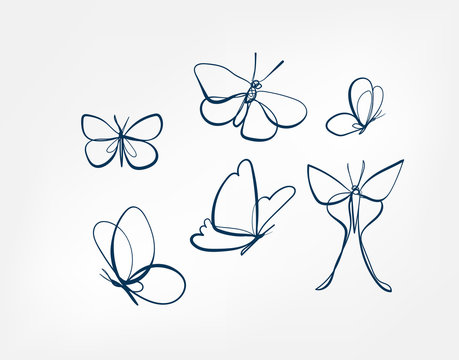 Wall Mural -  - butterfly insect vector art line isolated doodle illustration