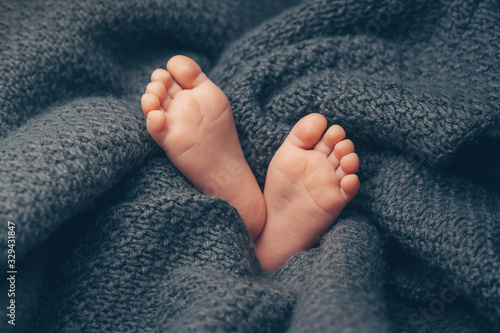 Fotomural Soft newborn baby feet against a dark grey blanket, closeup.