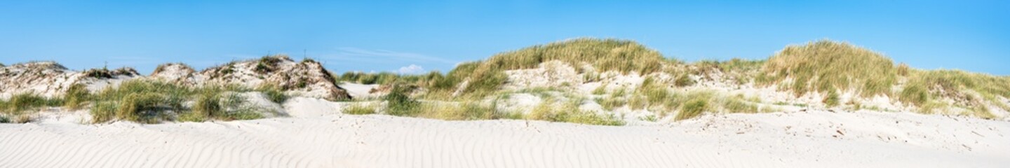 Wall Mural - sand dunes as panoramic background