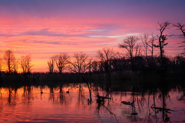 Wall Mural - Beautiful Sunrise in Plainsboro New Jersey