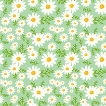 Daisy Seamless Pattern On Fresh Mint Background. Floral Ditsy Print With Small White Flowers And Leaves. Chamomile Herbal Design Great For Fashion Fabric, Kitchen Textile And Wallpaper.
