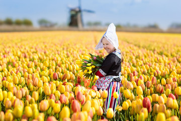 Child in tulip flower field. Windmill in Holland.