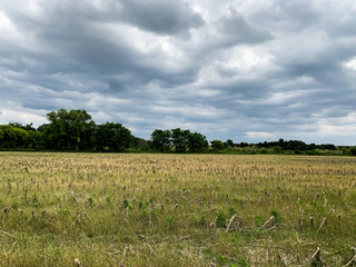 blue cloudy sky over green landscape