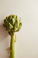 Wall Mural - artichoke on white background