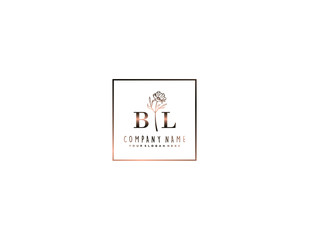 Letter BL handwrititing logo with a beautiful template