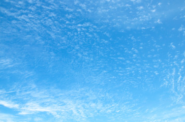 Wall Mural - sky